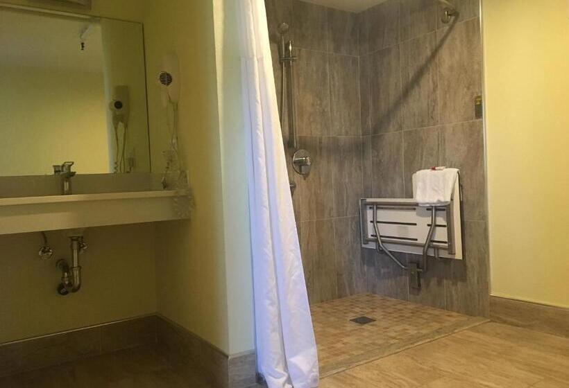디럭스 스위트 킹 침대, Travelodge By Wyndham Fairfield/napa Valley