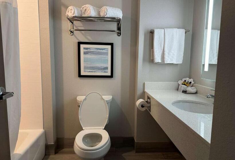 스위트 킹사이즈 침대, Best Western Plus Chandler