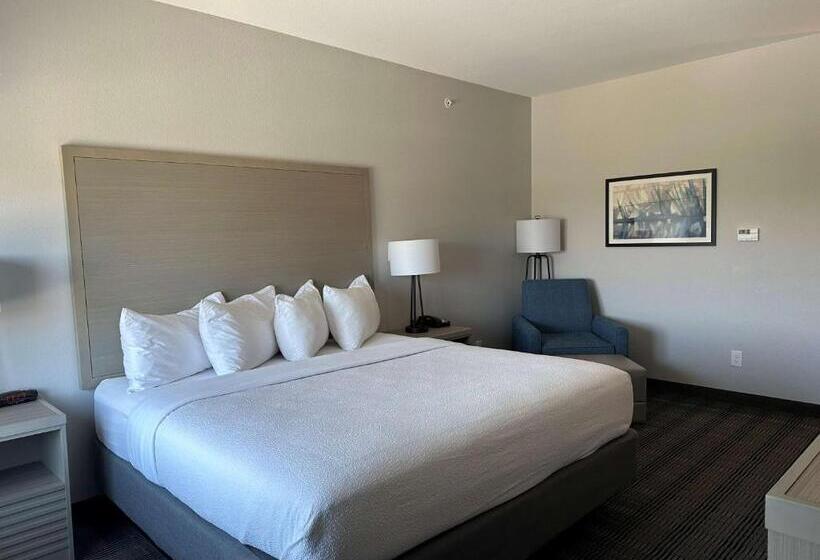 장애인을 위한 킹사이즈 침대 스탠다드 룸, Best Western Plus Chandler