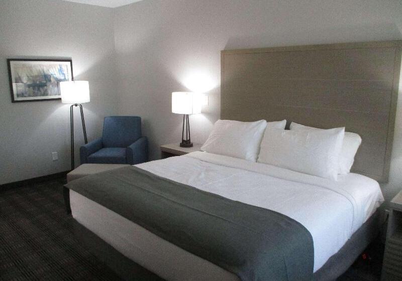 스탠다드 룸 킹사이즈 침대, Best Western Plus Chandler