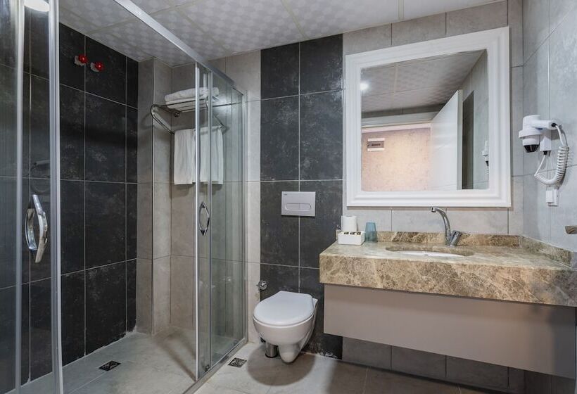 اتاق استاندارد, Tamara Business Otel