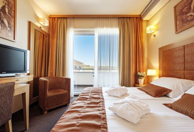 اتاق اکونومی, Grand Hotel Primus   Terme Ptuj   Sava Hotels & Resorts