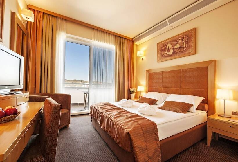 اتاق اکونومی, Grand Hotel Primus   Terme Ptuj   Sava Hotels & Resorts