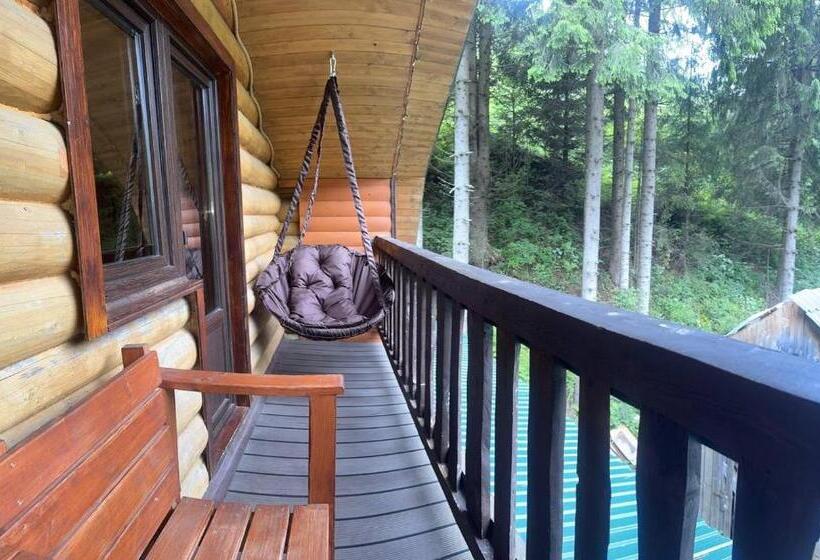 マウンテンビュースタンダードルーム, верховинський водограй