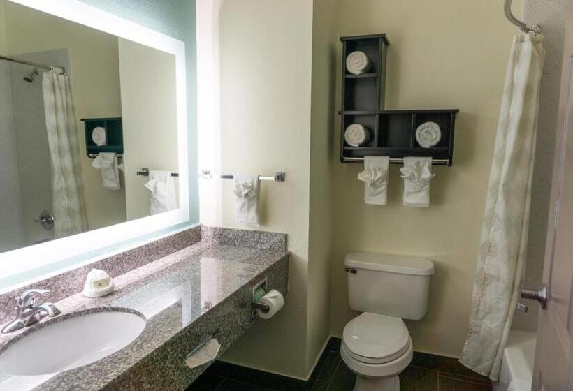 스탠다드 룸 킹사이즈 침대, Best Western Mayport Inn & Suites