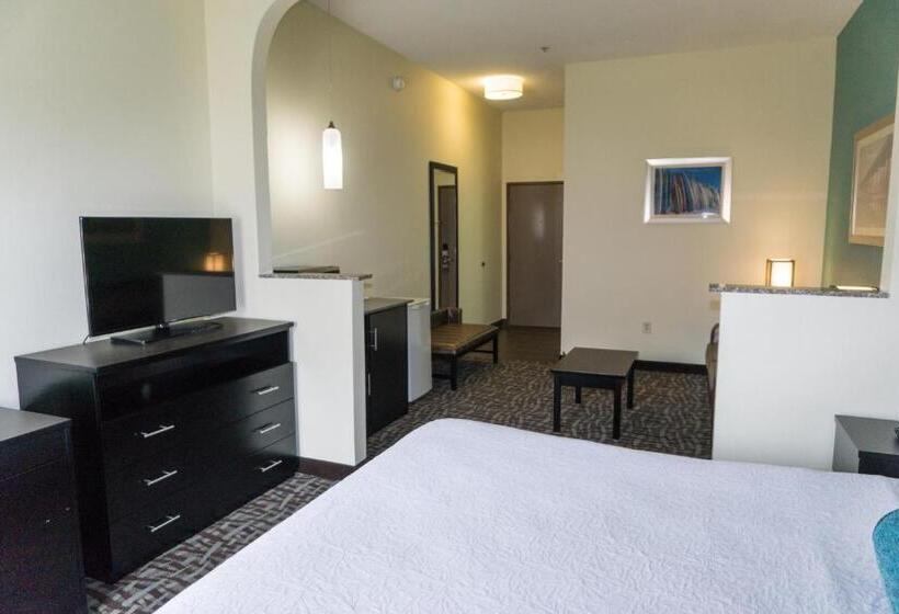מיטת קינג בסוויטה, Best Western Mayport Inn & Suites