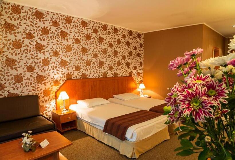 Номер Стандарт с Балконом, Spa Hotel Olymp