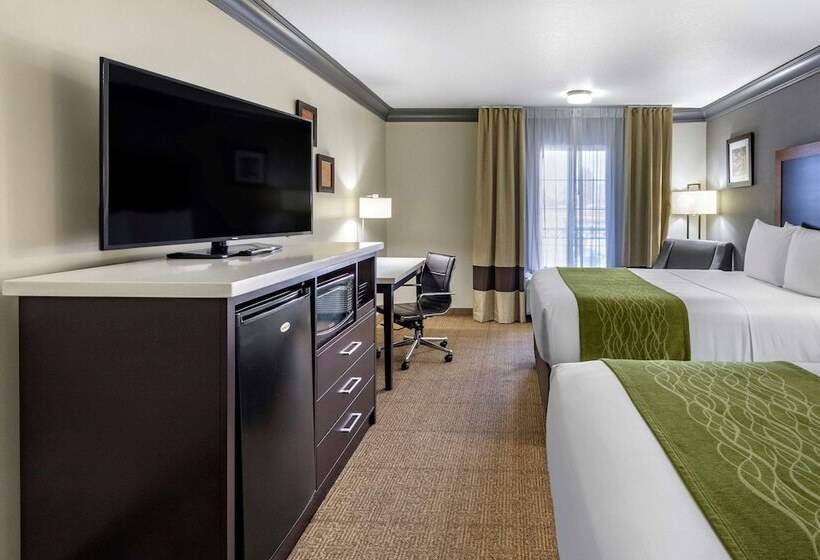 اتاق استاندارد, Comfort Inn & Suites Near Universal  N. Hollywood  Burbank
