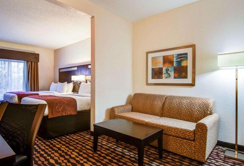Люкс, Comfort Suites Northside Hospital Gwinnett
