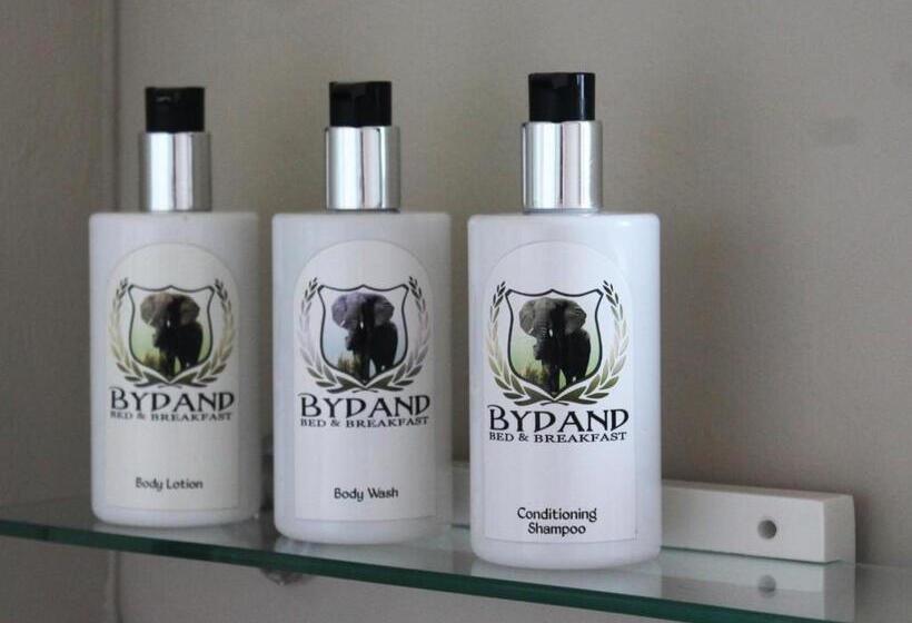 Номер Стандарт, Bydand B&b