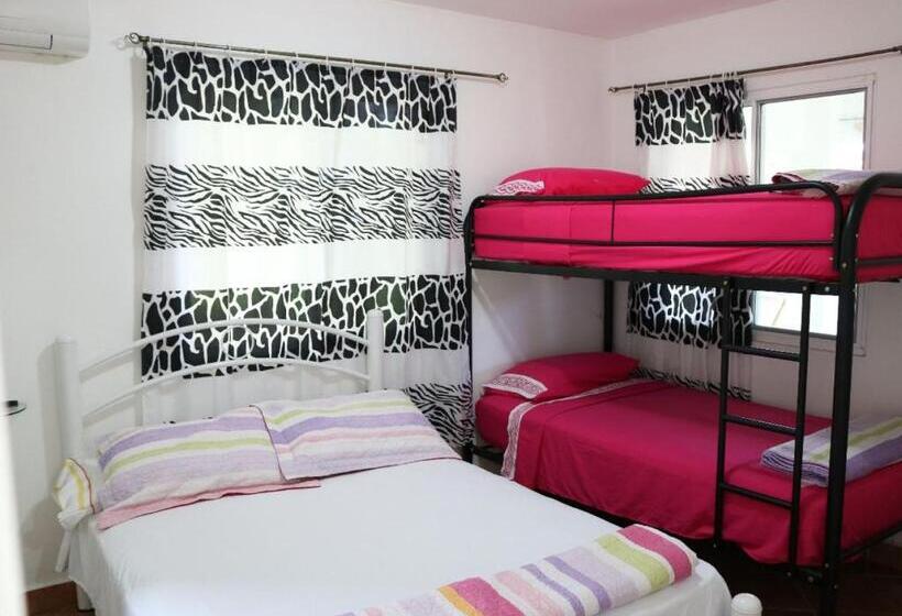 آپارتمان 1 خوابه با چشم‌انداز باغ, Bed And Breakfast Little Italy