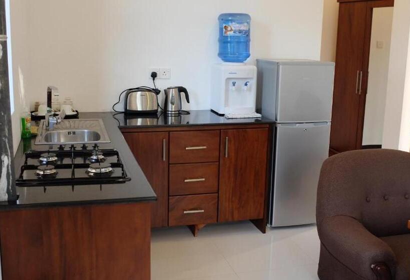 اتاق لوکس با بالکن, Park Lane Apartments