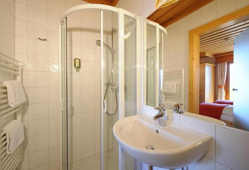 Номер Стандарт Вид на Озеро, Naturhotel Alpenrose