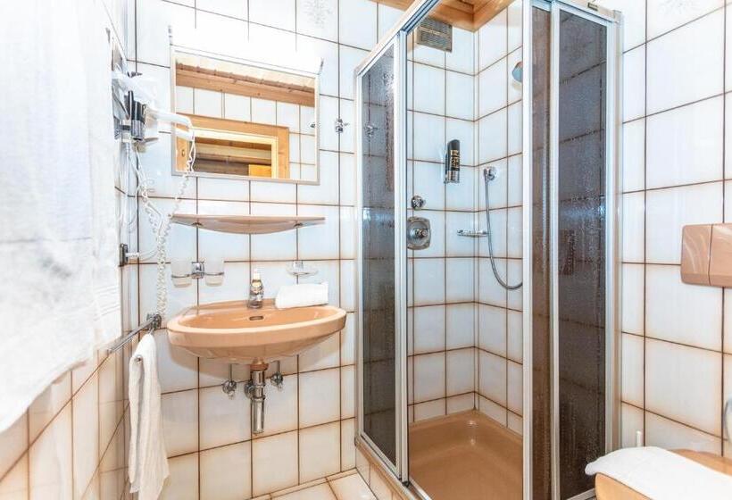 Номер Стандарт с Балконом, Landhaus Rohregger