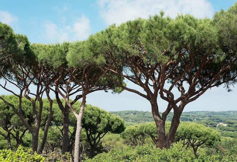 Номер Стандарт, Hôtel Villa Marie Saint Tropez