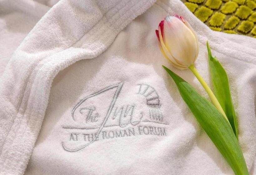 آپارتمان 1 خوابه با تراس, The Inn At The Roman Forum