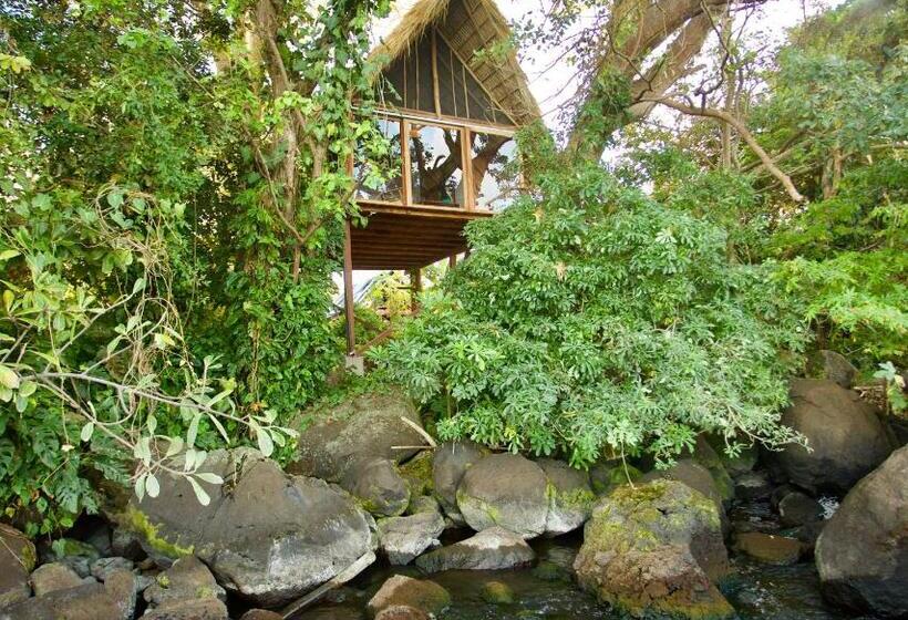 اتاق استاندارد با تخت بزرگ, El Pital, Chocolate Paradise