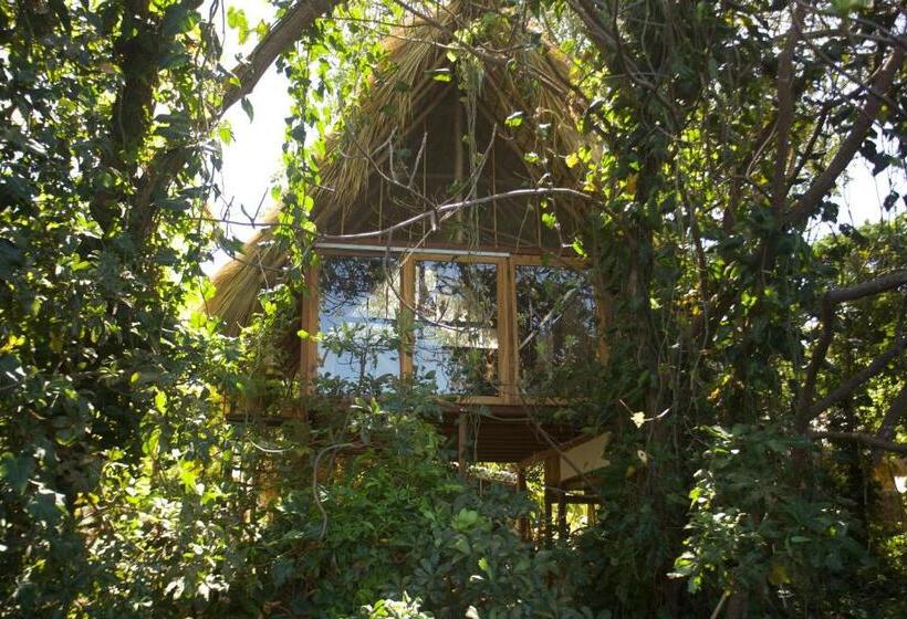اتاق استاندارد با تخت بزرگ, El Pital, Chocolate Paradise