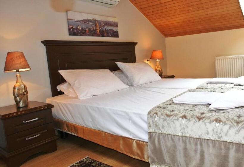 エコノミールーム, Emirhan Inn Apartment & Suites