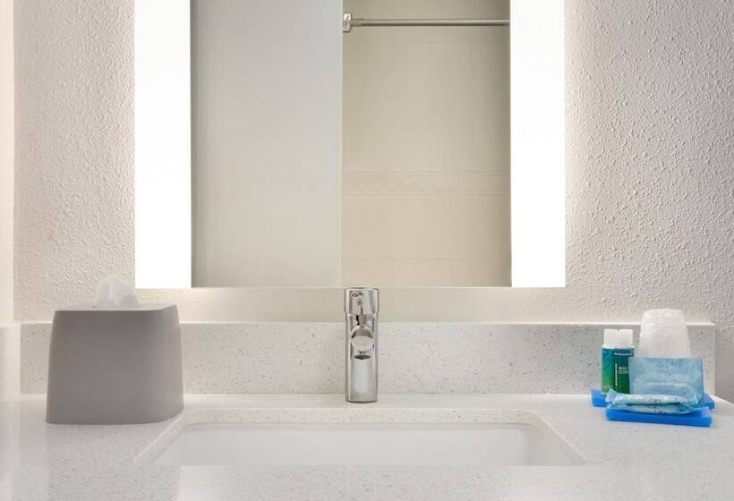 סוויטה מותאמת לאדם עם מוגבלויות, Holiday Inn Express Hotel & Suites Dallas Ne   Allen, An Ihg