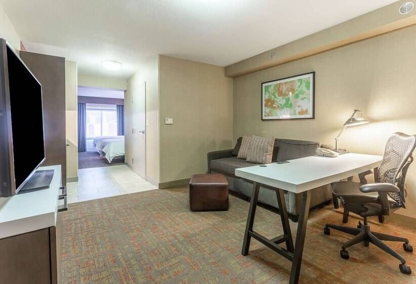 Люкс, Hilton Garden Inn Chicago/tinley Park