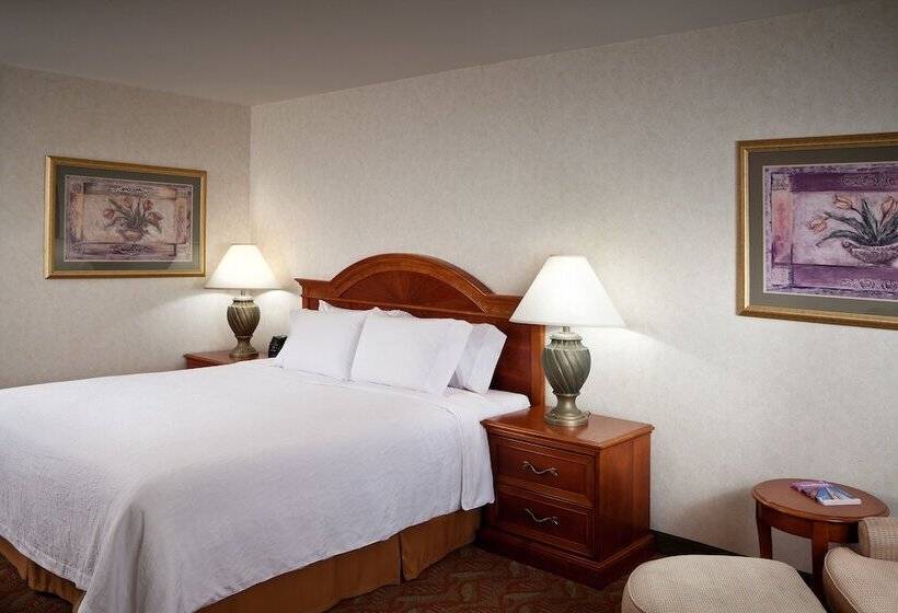 اتاق استاندارد برای معلولان, Hilton Garden Inn Tri Cities/kennewick