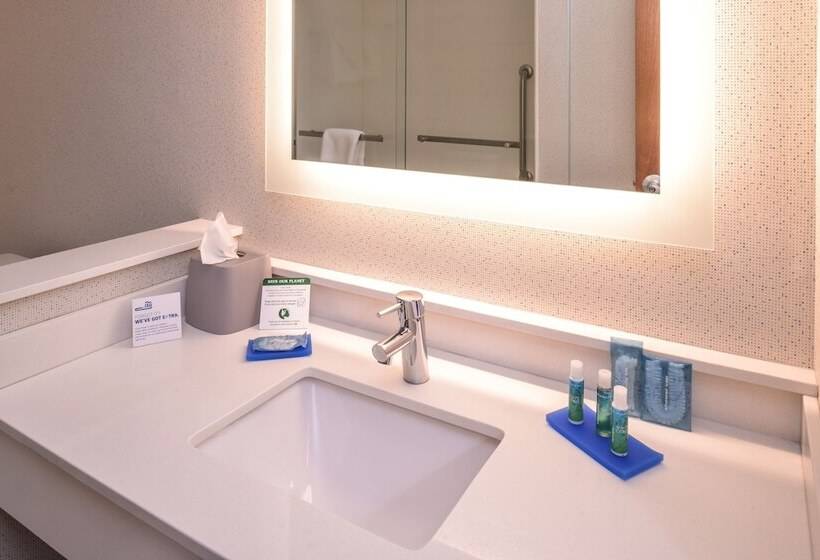 Люкс, Holiday Inn Express Hotel & Suites Southfield   Detroit, An Ihg