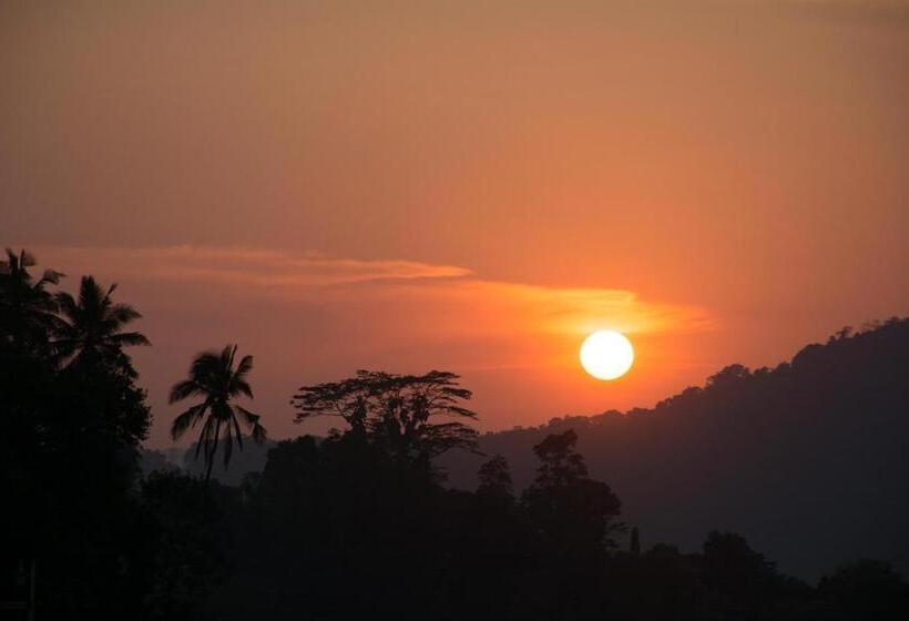 اتاق لوکس, Swiss Residence  Kandy