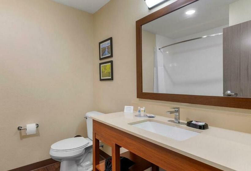 Люкс Кровать Кинг, Comfort Inn & Suites