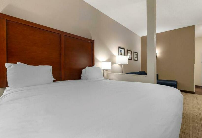 Люкс Кровать Кинг, Comfort Inn & Suites