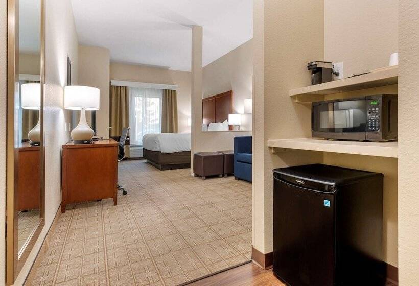 Люкс Адаптированный для Инвалидов, Comfort Inn & Suites