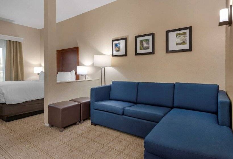 Люкс Адаптированный для Инвалидов, Comfort Inn & Suites