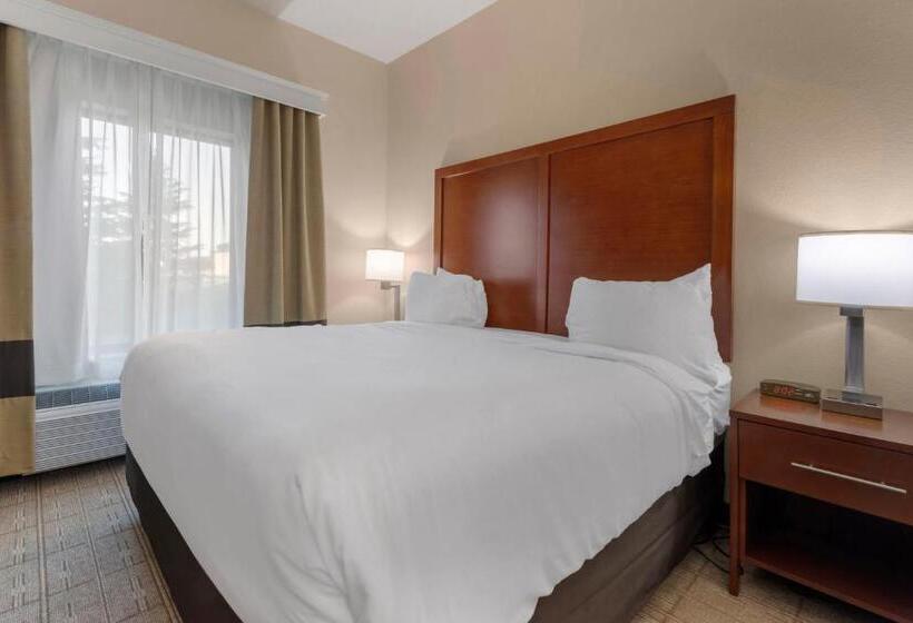 Люкс Адаптированный для Инвалидов, Comfort Inn & Suites