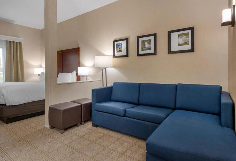 Номер Стандарт Кровать Кинг Адаптированный для Инвалидов, Comfort Inn & Suites