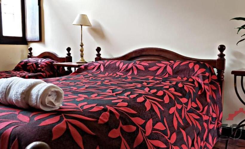 اتاق استاندارد چهار تخته, Coya Hostel