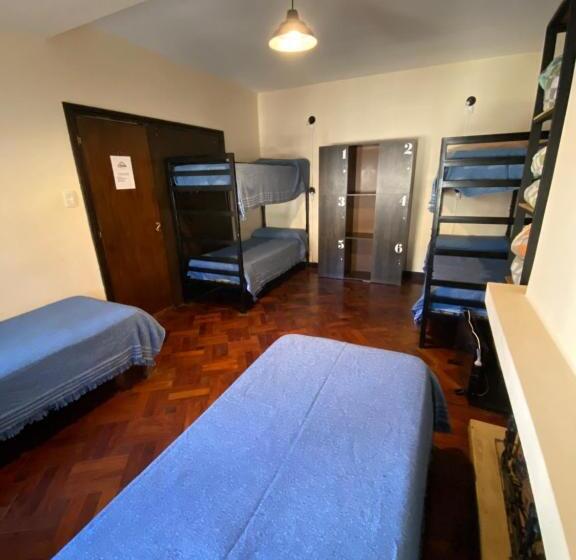 تختخواب در اتاق مشترک, Coya Hostel