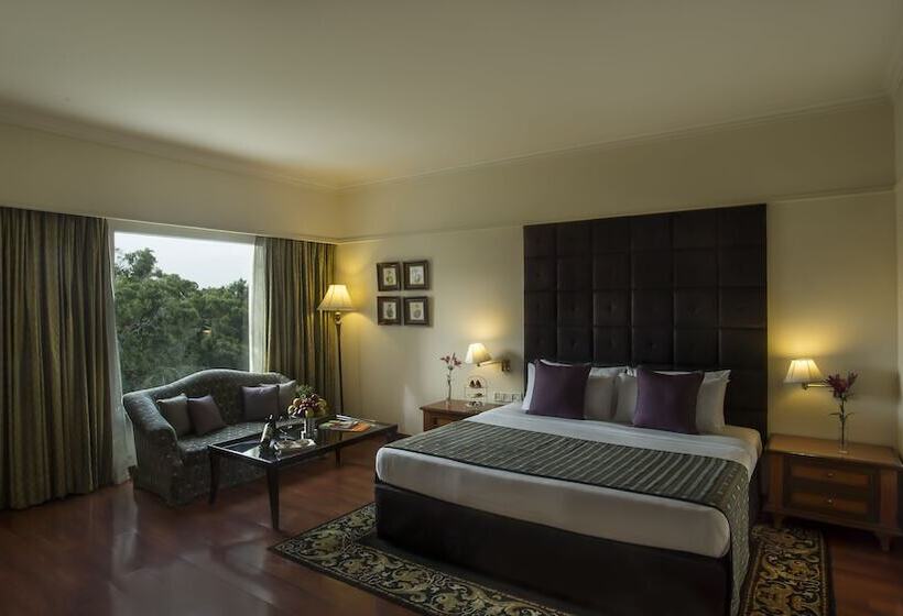 带1个卧室的豪华公寓, Taj Deccan