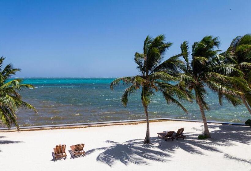 Люкс Кровать Кинг, Tara Del Sol Resort