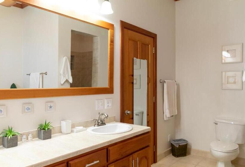 Люкс Кровать Кинг, Tara Del Sol Resort