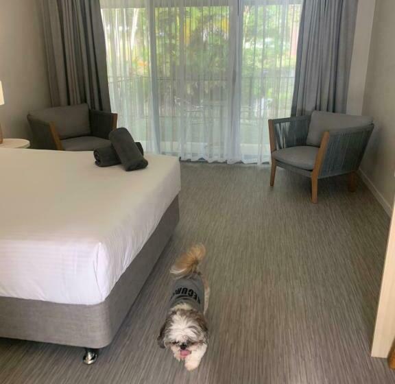 Номер Стандарт, Woolgoolga Coast Motel