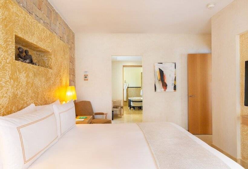 单卧高级别墅, Terre Blanche Hotel Spa Golf Resort