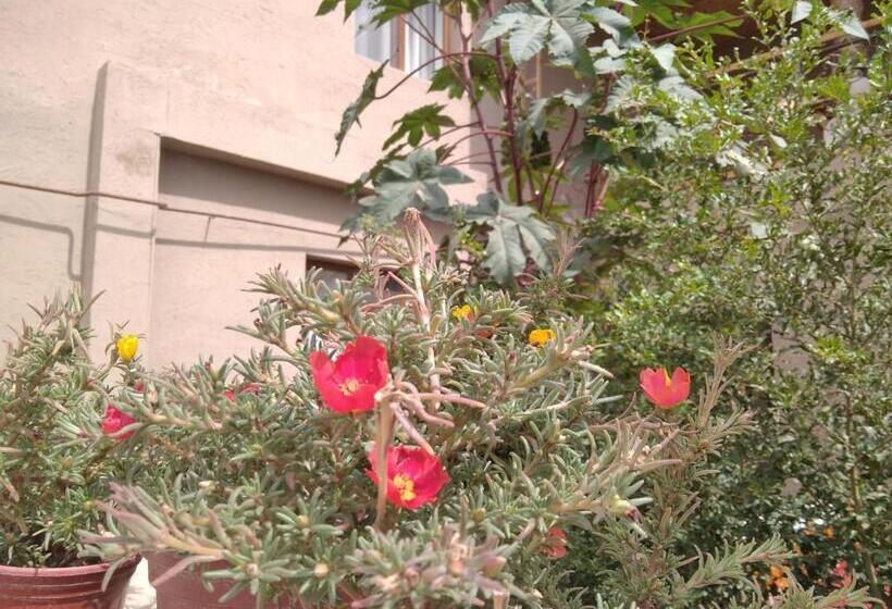 اتاق استاندارد, Guest House Art Postindoz