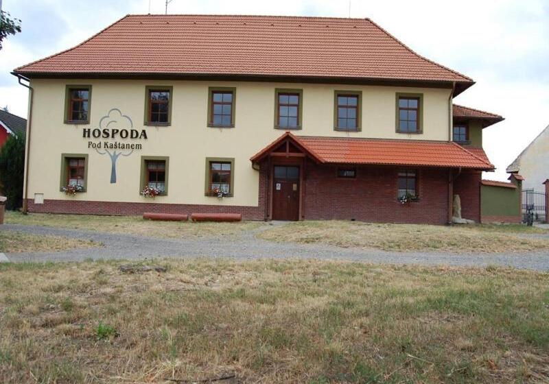 Студия Стандарт, Penzion Pod Kaštanem