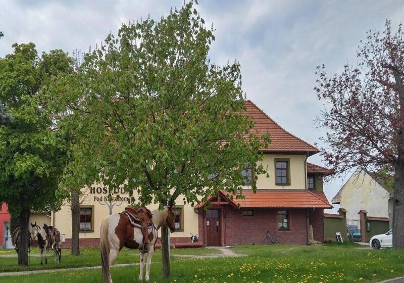 Люкс Superior, Penzion Pod Kaštanem
