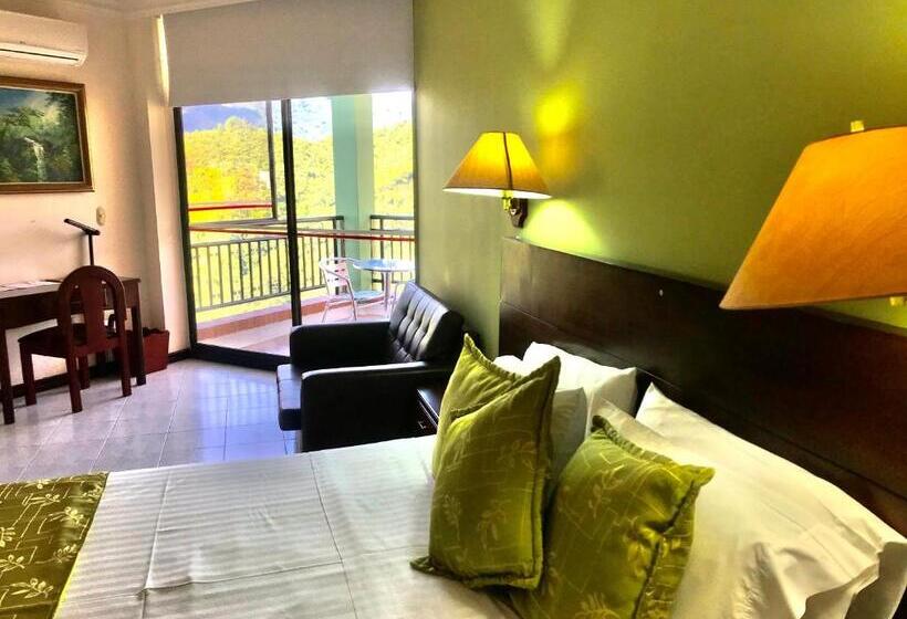 اتاق استاندارد یک نفره, Casa Morales Hotel Internacional Y Centro De Convenciones