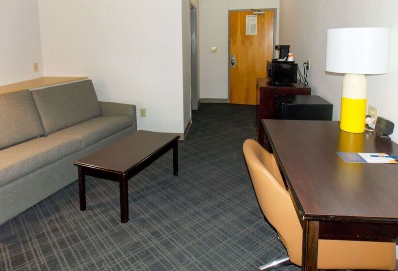 스위트, Comfort Suites Salemroanoke I81
