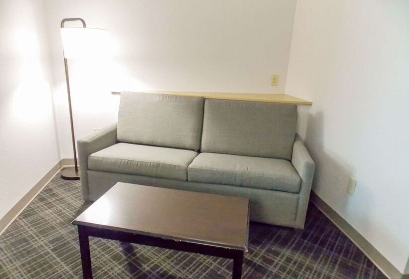 스위트, Comfort Suites Salemroanoke I81