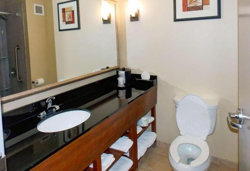 스위트 킹사이즈 침대, Comfort Suites Salemroanoke I81