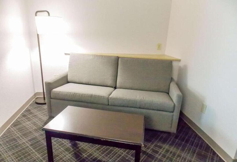스위트, Comfort Suites Salemroanoke I81