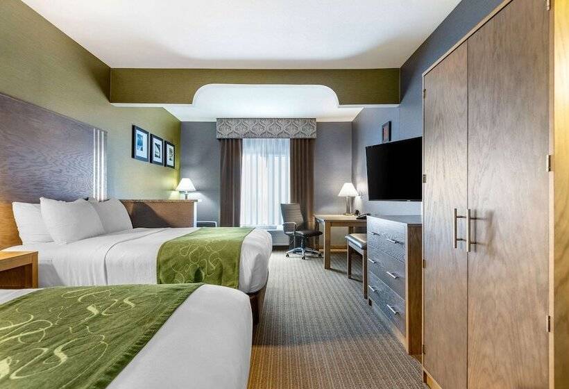 Люкс, Comfort Suites Southgate Detroit